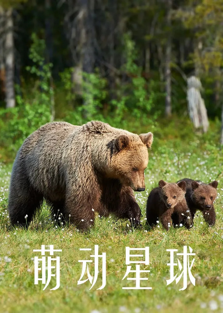 萌动星球海报
