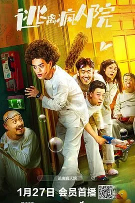 逃离疯人院海报