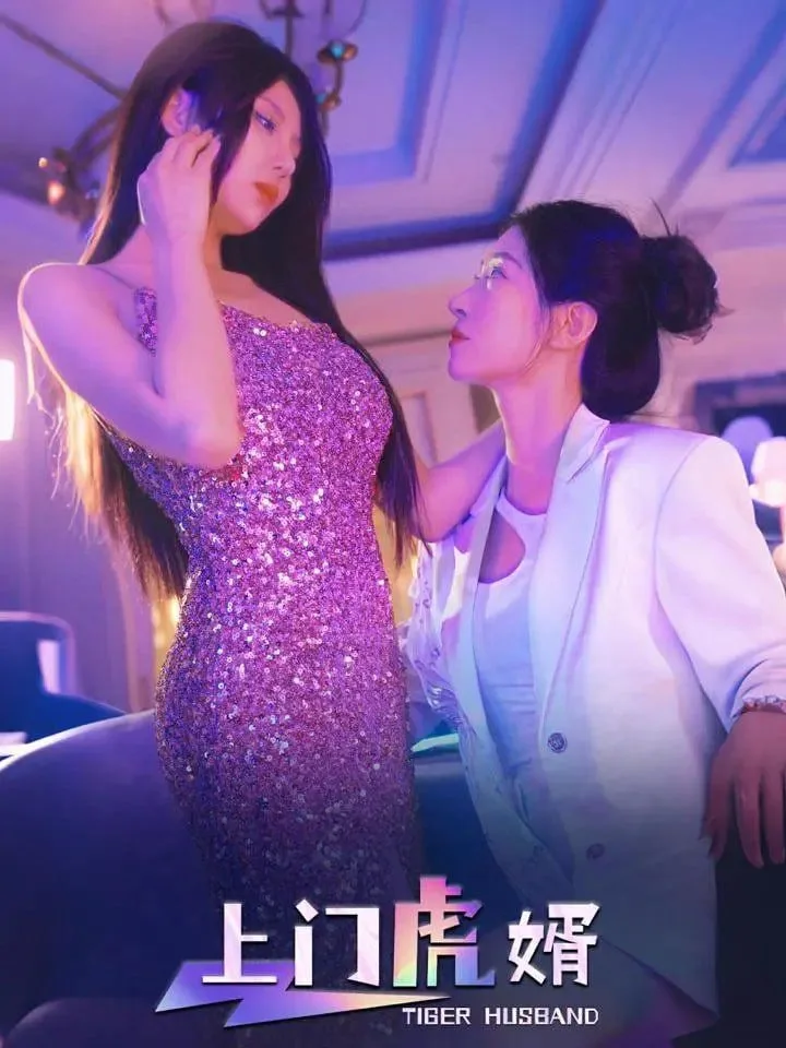 上门虎婿海报
