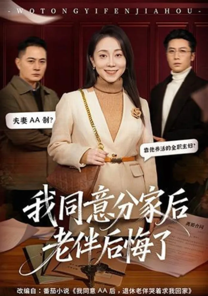 我同意分家后老伴后悔了海报