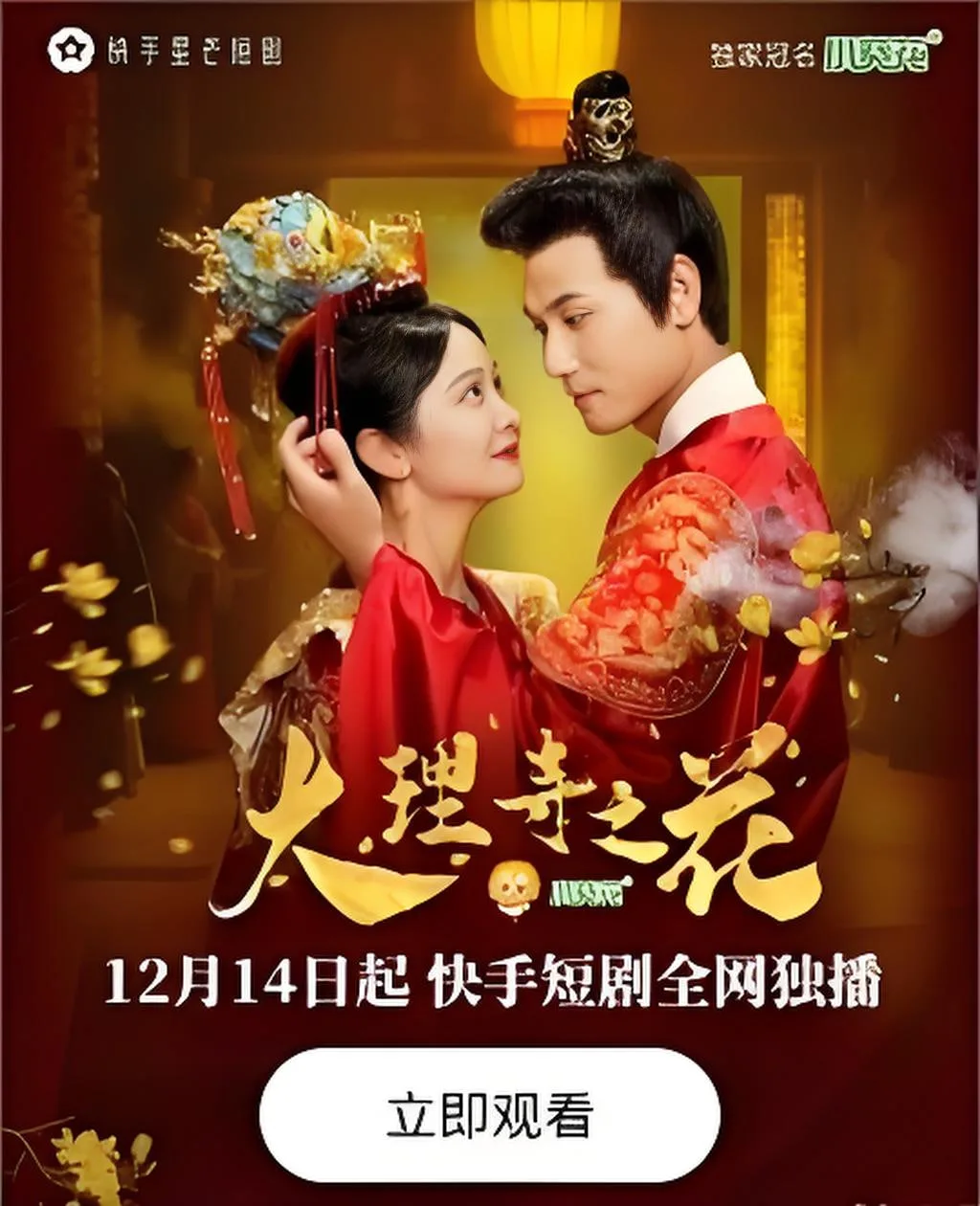 大理寺之花海报