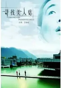寻找美人痣海报