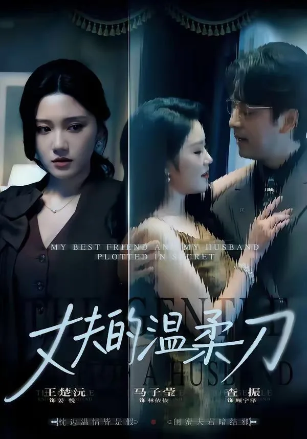 丈夫的温柔刀海报