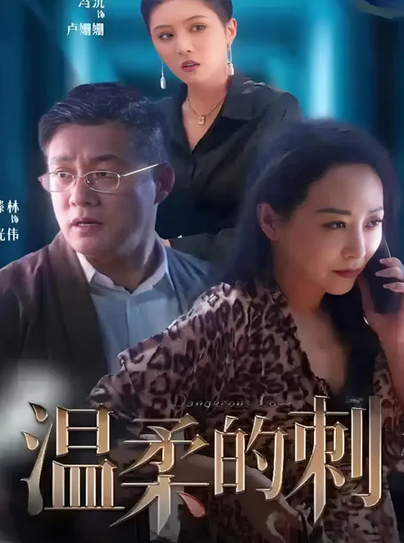 温柔的刺海报