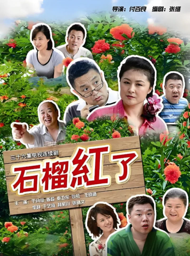 火红的日子海报