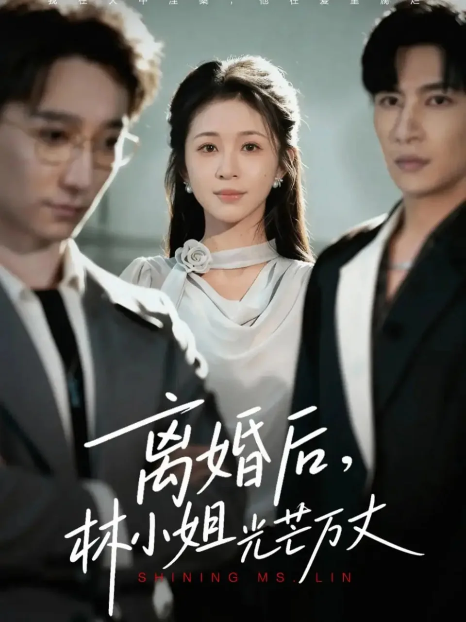 离婚后林小姐光芒万丈海报