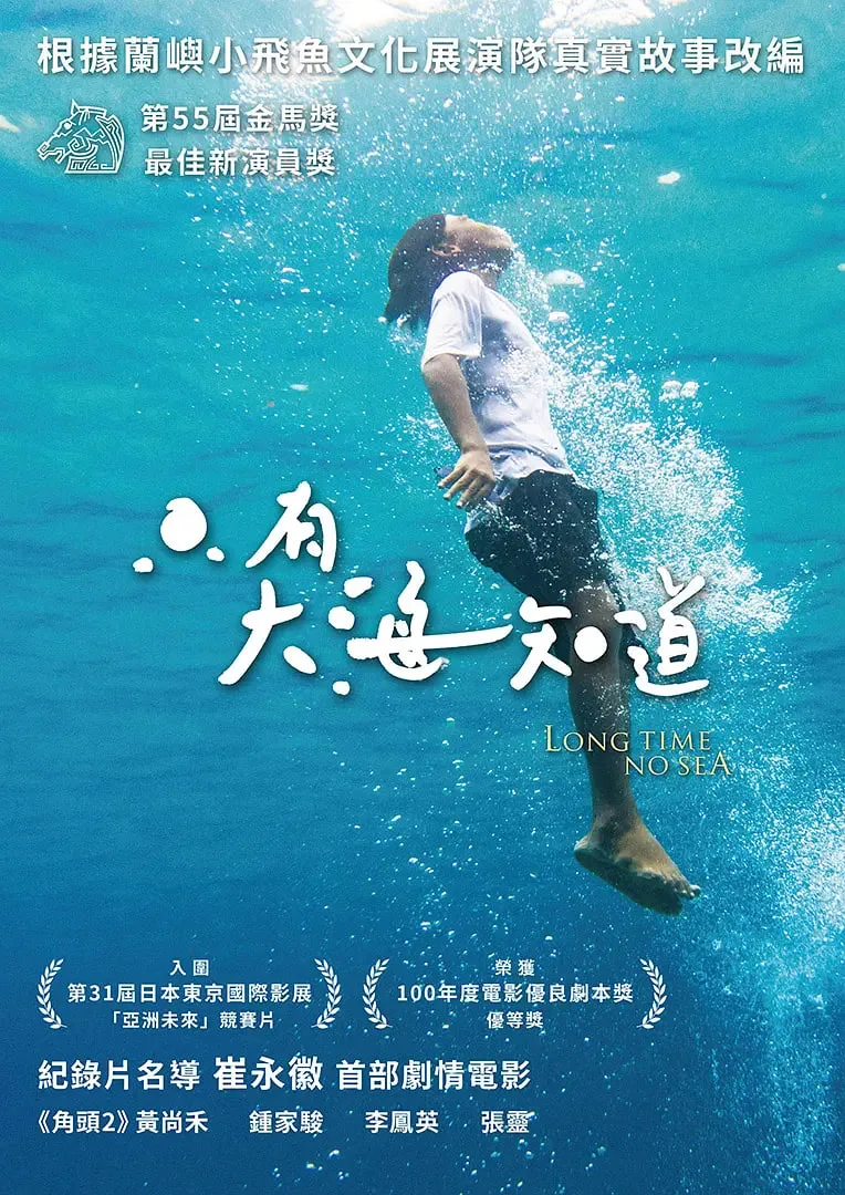 只有大海知道海报