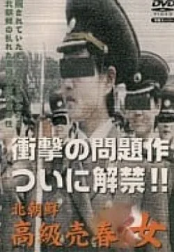 北朝鮮高級売春女海报