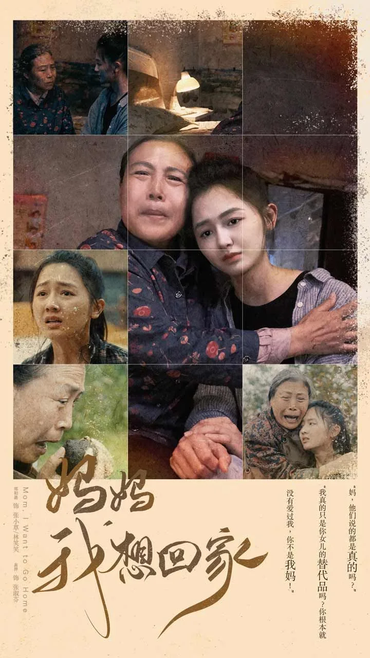 我想回家海报