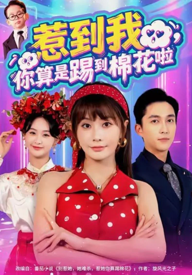 惹到我，你算是踢到棉花啦海报