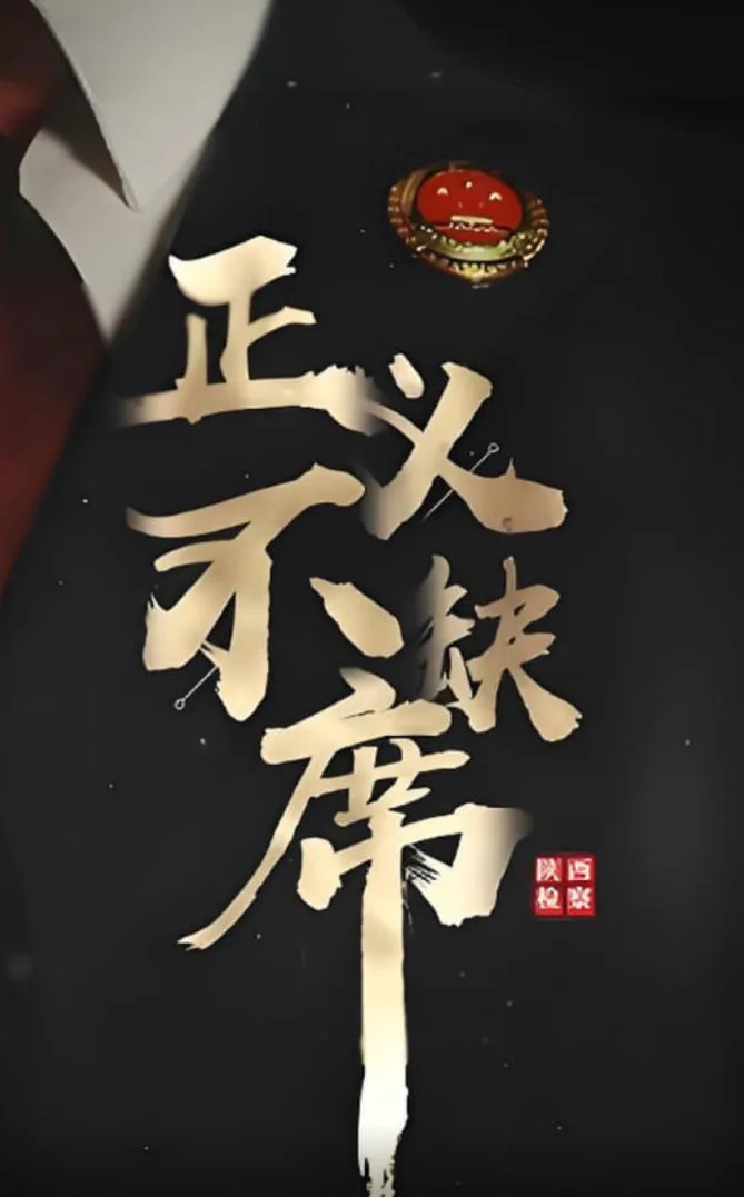 正义不缺席海报