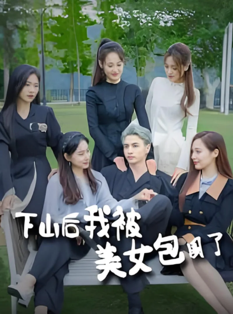 下山后我被美女包围了海报