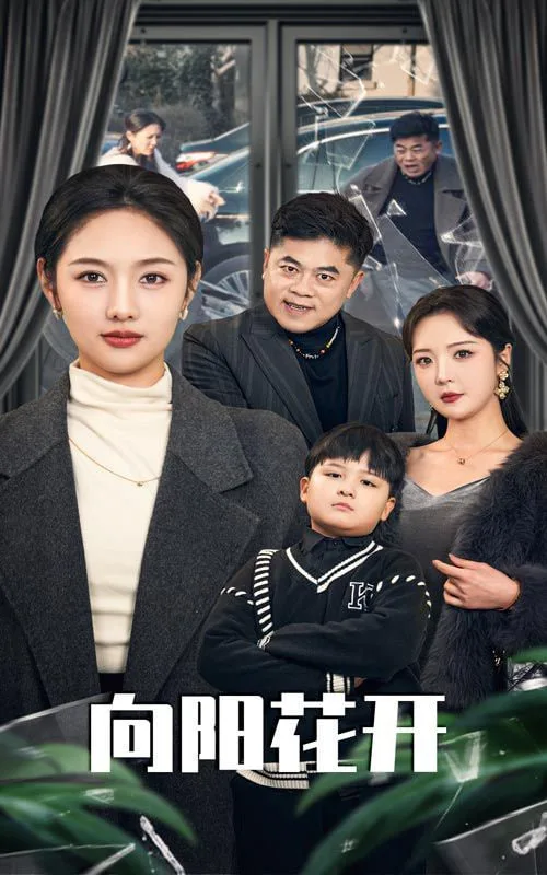 溺爱的代价(向阳花开)海报