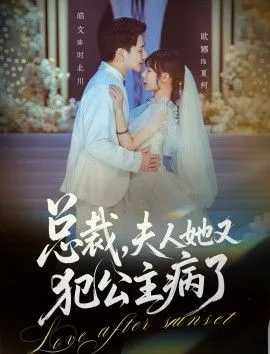 总裁，夫人她又犯公主病了海报