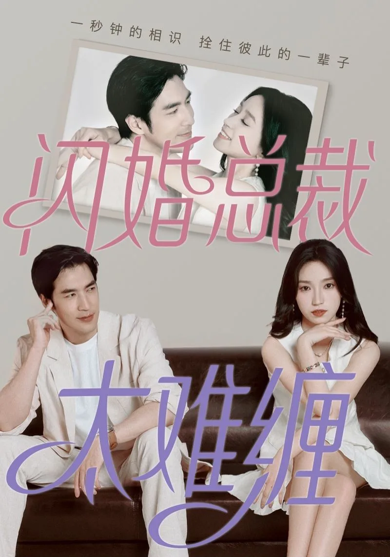闪婚总裁太难缠海报