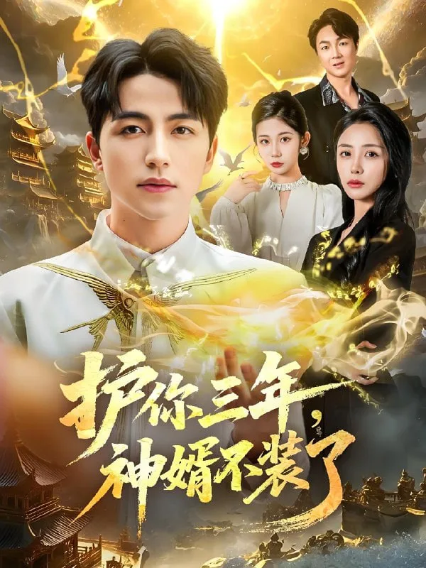 护你三年，神婿不装了海报