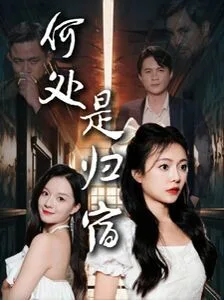 何处是归宿海报