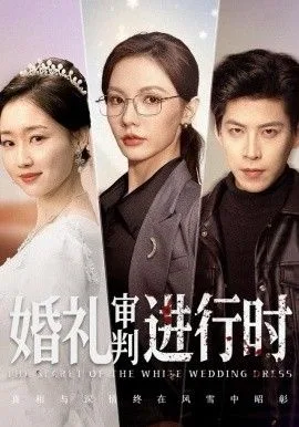 婚礼审判进行时海报