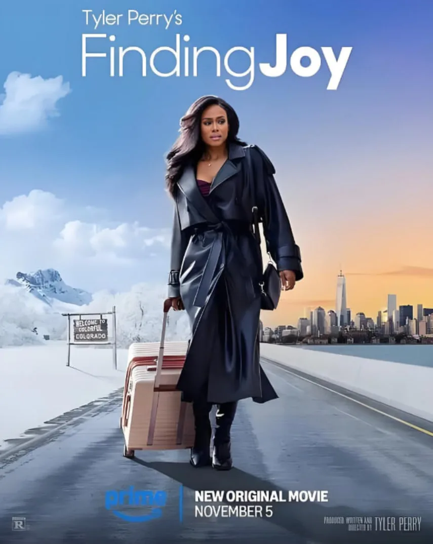 寻欢觅爱海报