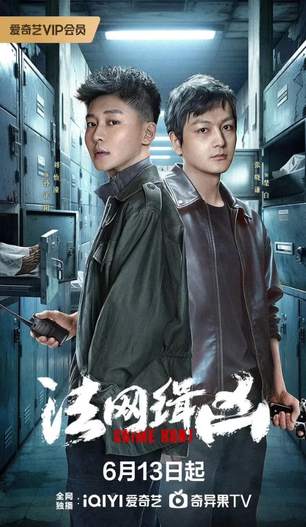 法网缉凶海报
