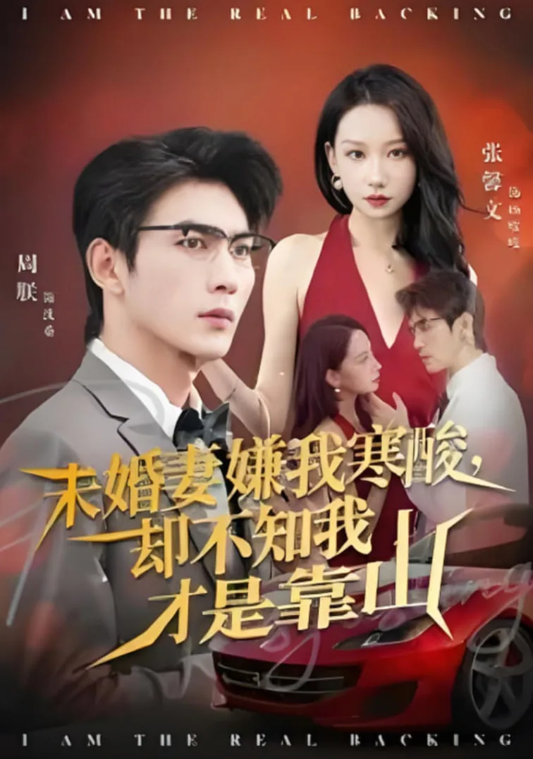 未婚妻嫌我寒酸却不知我才是靠山海报