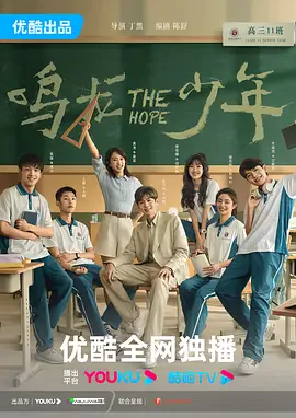 鸣龙少年 DVD版海报