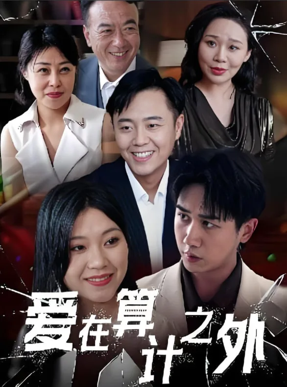 爱在算计之外海报