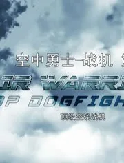 战机：空中勇士 第七季海报