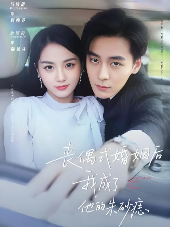 丧偶式婚姻后我成了他的朱砂痣海报