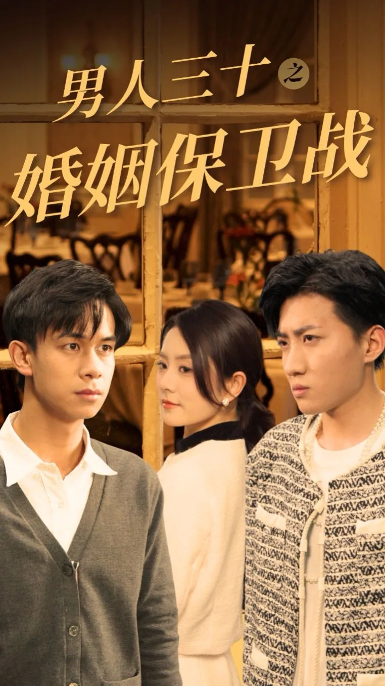 男人三十之婚姻保卫战海报