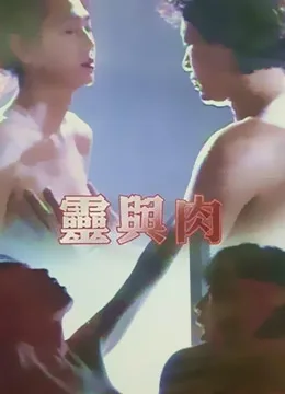 灵与肉海报