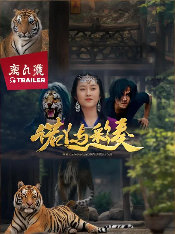 诺丫与彩奏海报