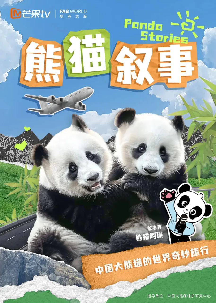 熊猫叙事海报