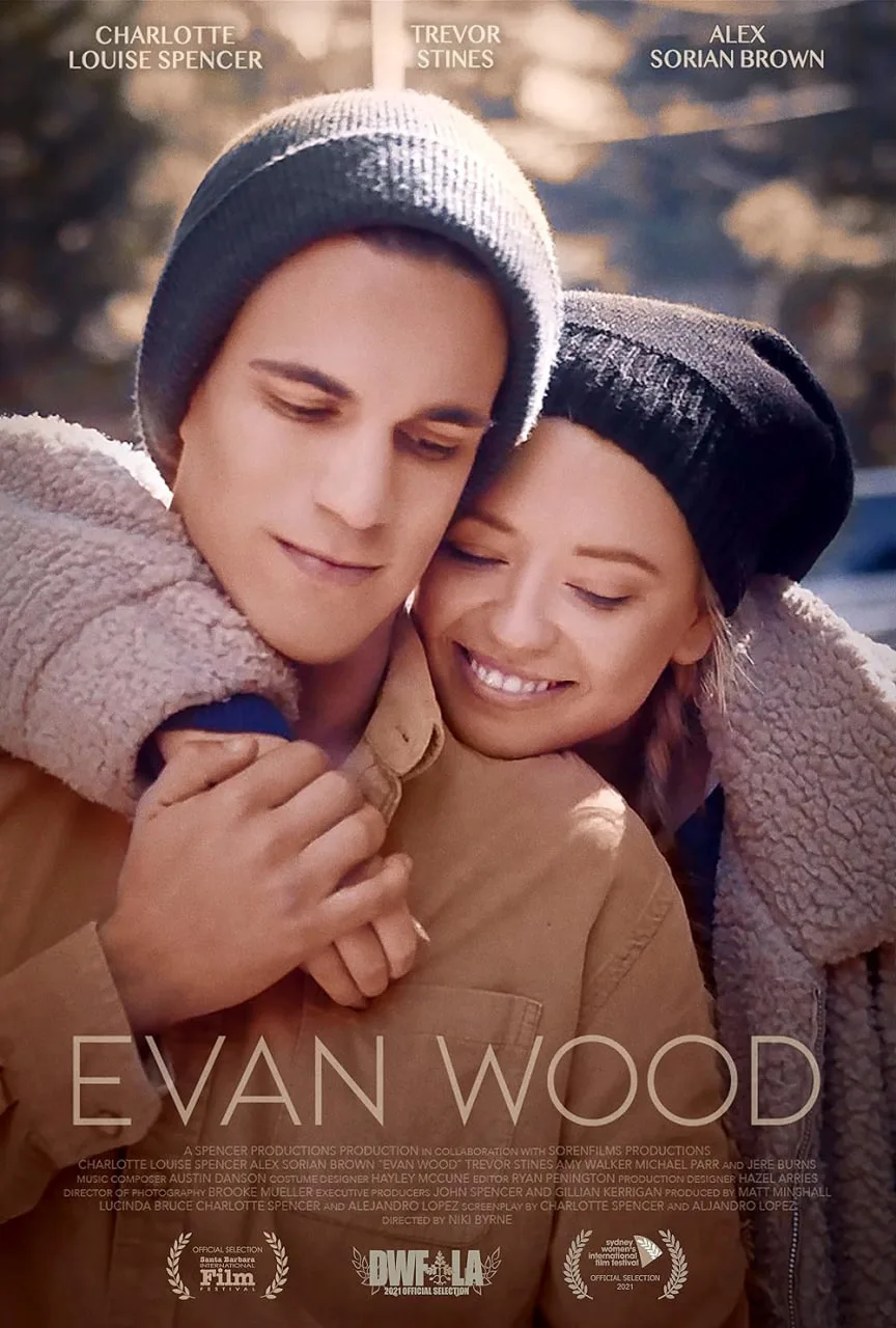 埃文·伍德海报