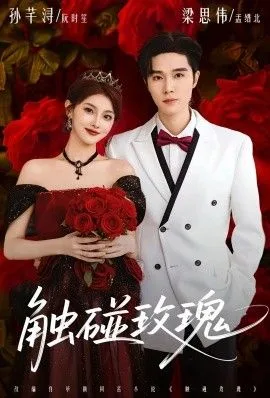 触碰玫瑰（凌晨四点半，玫瑰花未眠）海报