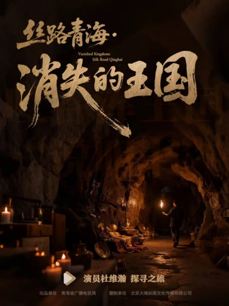 丝路青海消失的王国​海报