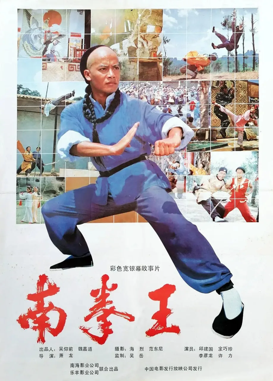 南拳王海报
