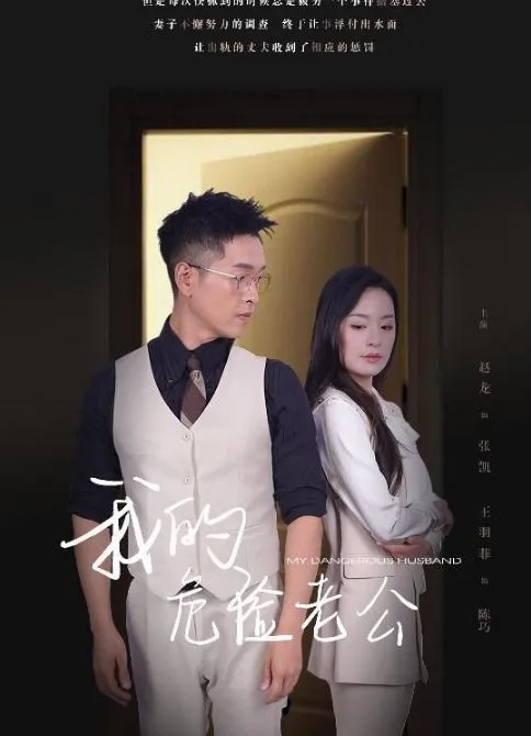 新我的危险老公海报