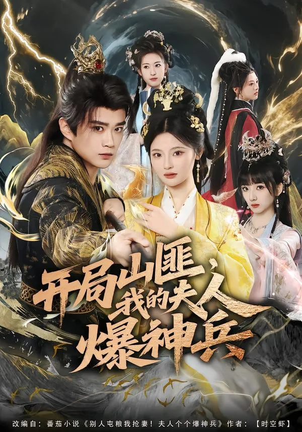 开局山匪，我的夫人爆神兵海报