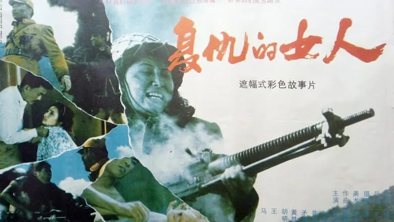 复仇的女人海报