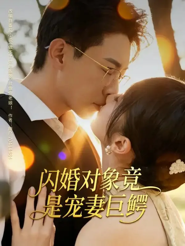 闪婚对象竟是宠妻巨鳄海报