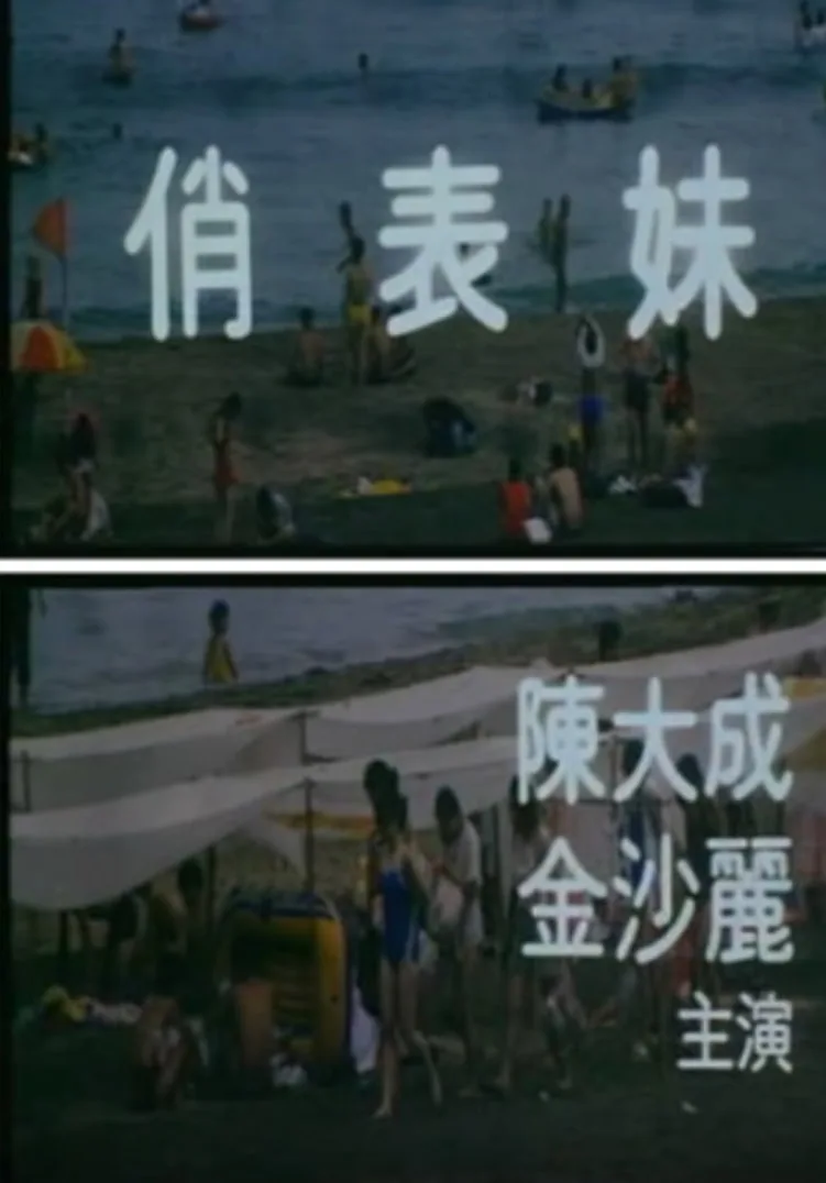 俏表妹海报