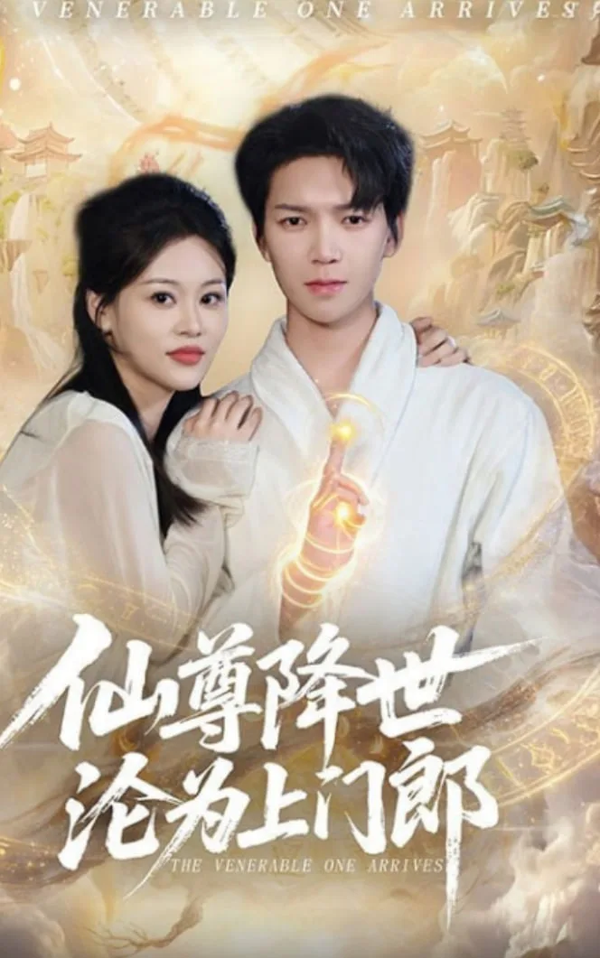仙尊降世沦为上门郎海报