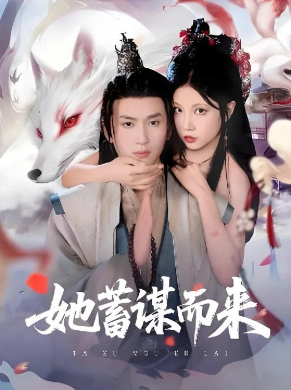 她蓄谋而来海报