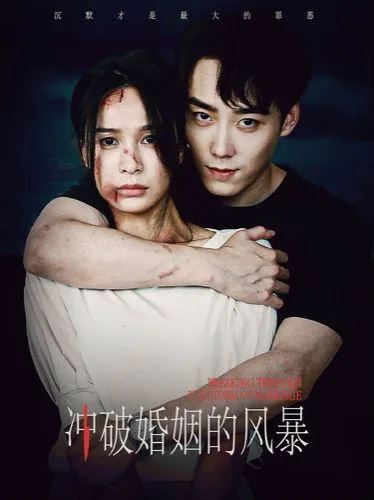 冲破婚姻的风暴海报