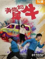 奔跑的犀牛海报