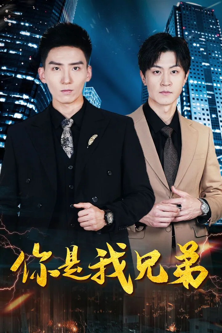 你是我兄弟海报