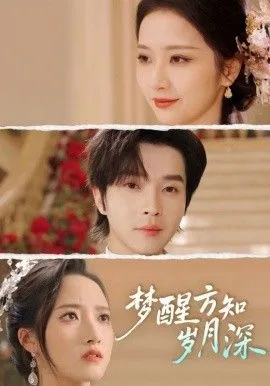 梦醒方知岁月深（梦醒时你在我身侧）海报