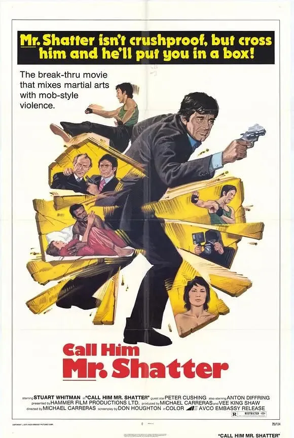 夺命刺客海报