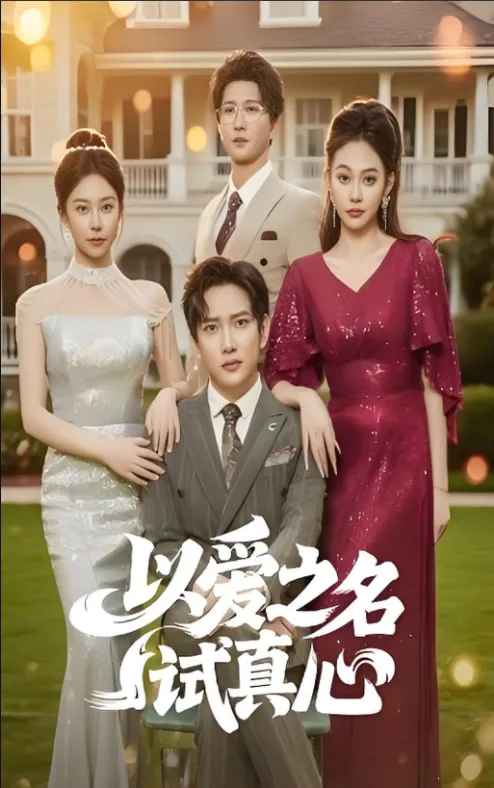 以爱之名试真心海报